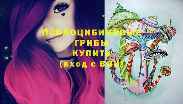 мдпв Саяногорск