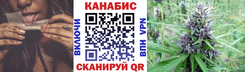 Бошки Шишки ГИДРОПОН Иланский